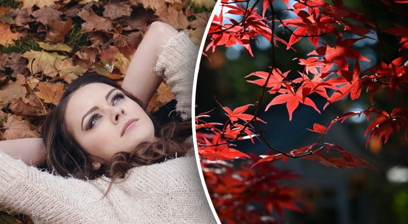 Финансовый гороскоп на неделю с 23 по 29 сентября: кому повезет до конца месяца