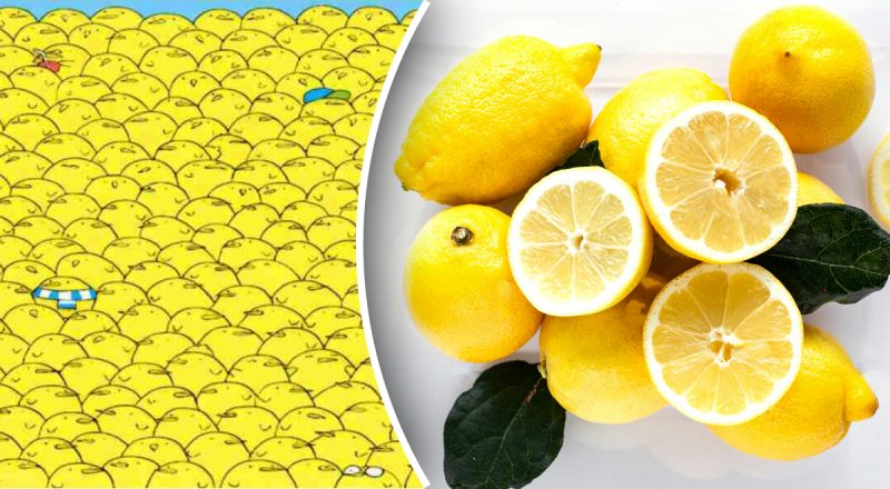 Найти 5 лимонов на картинке сможет только гений: чрезвычайная загадка на внимательность