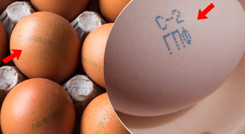 Большинство не догадывается: что означают цифры на яйцах