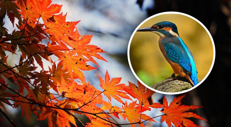 Атакует невероятная жара и резкое похолодание: погода на выходных изменится