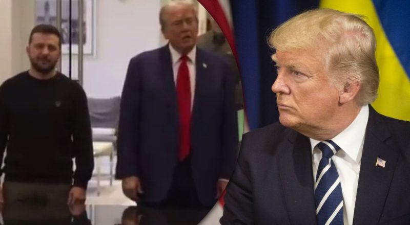 Трамп неожиданно "рассыпался" в комплиментах в адрес Зеленского