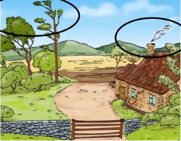 Тест на уважність - розгадка