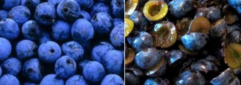 Скріншот Скріншот