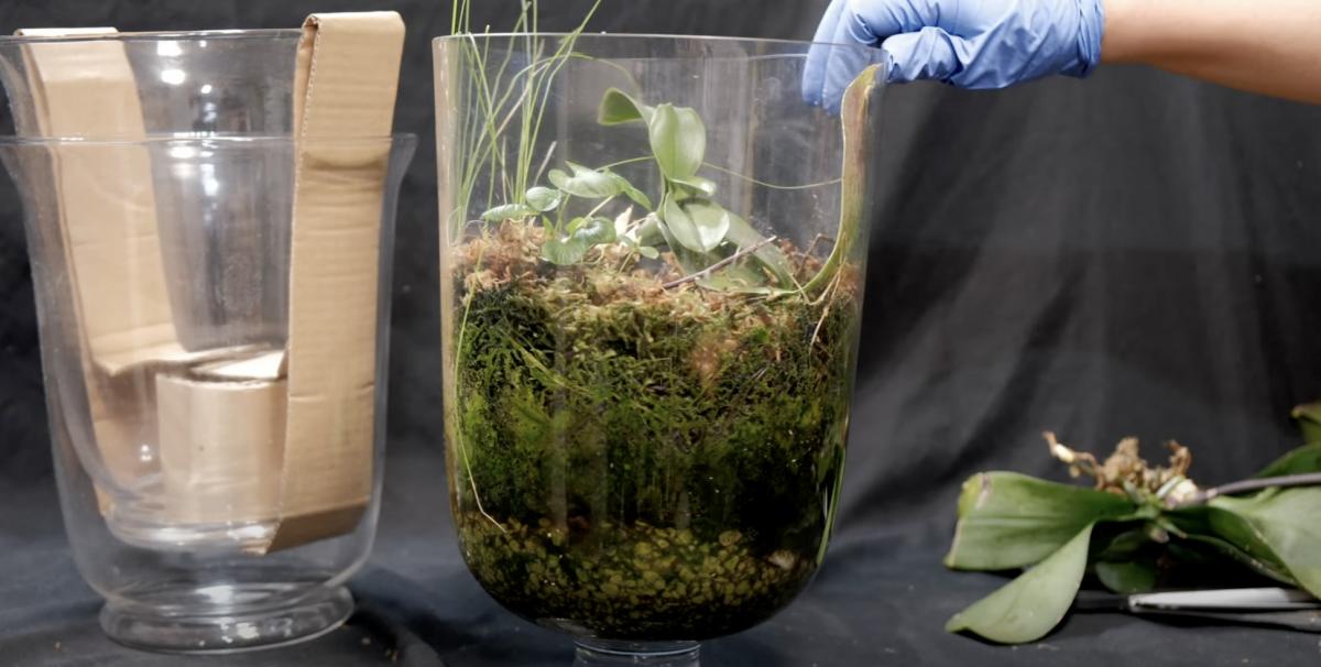 Скриншот  Скриншот