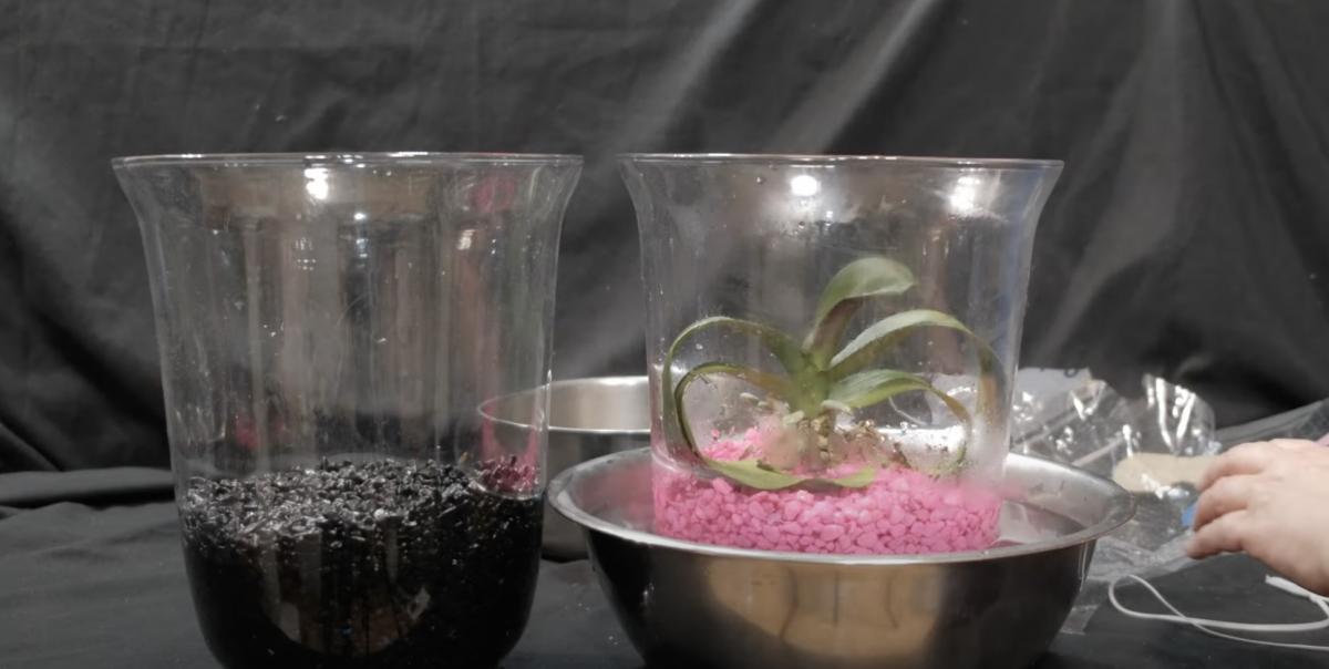 Скриншот Скриншот