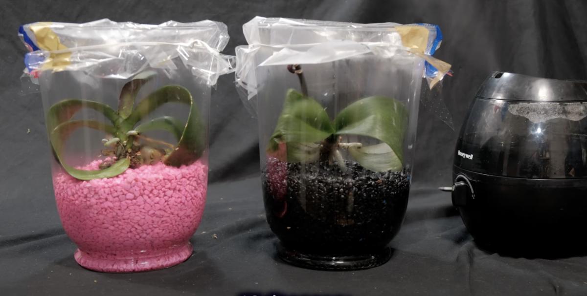 Скриншот Скриншот