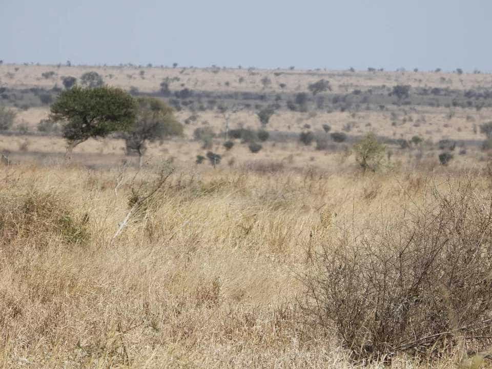 Загадка Загадка