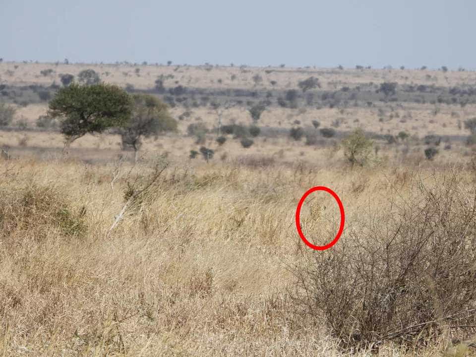 Загадка Загадка