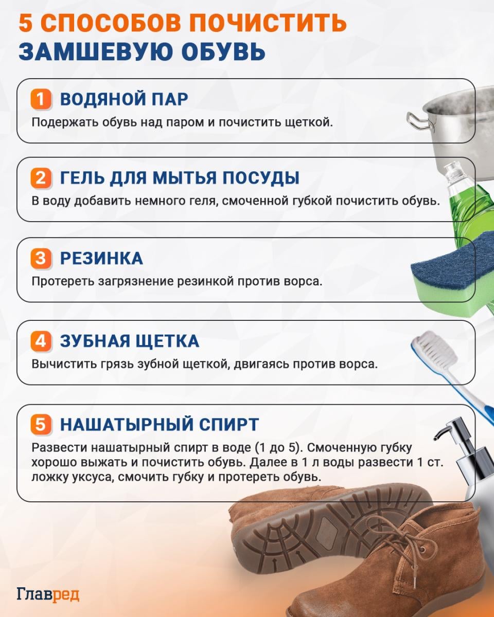 Как почистить замшевую обувь инфографика Как почистить замшевую обувь инфографика