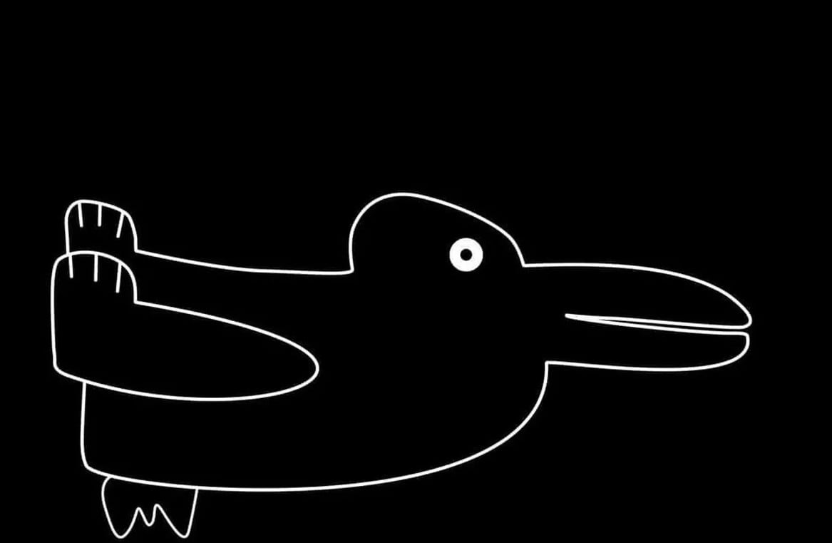 Оптична ілюзія