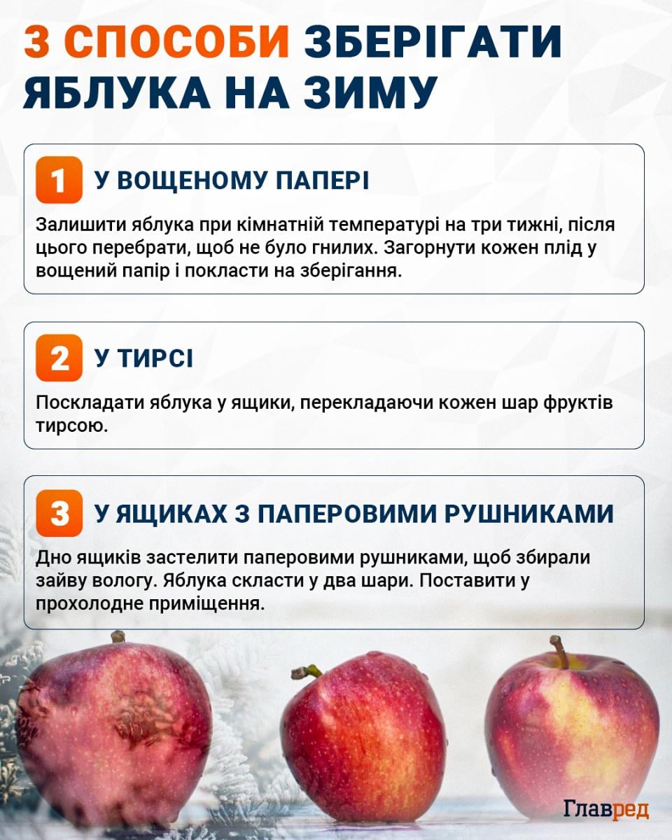 Как хранить яблоки на зиму инфографика