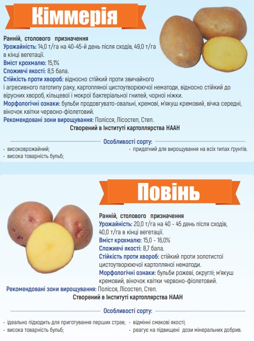Каталог сортів картоплі