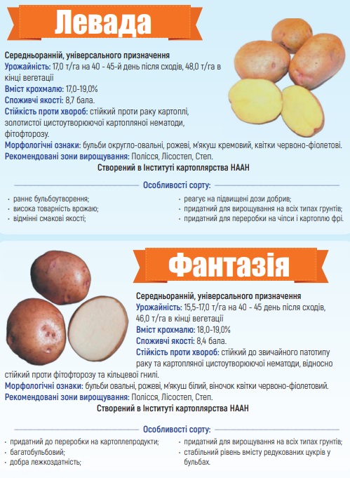 Каталог сортів картоплі