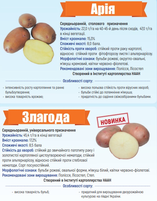 Каталог сортів картоплі