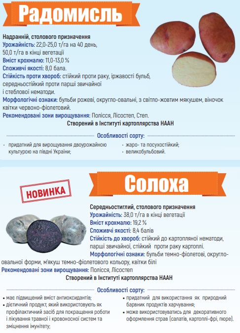 Каталог сортів картоплі