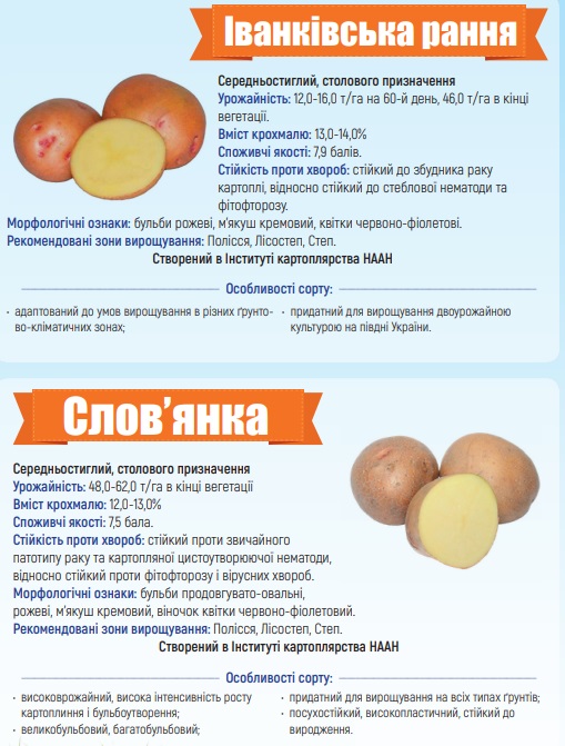 Каталог сортів картоплі