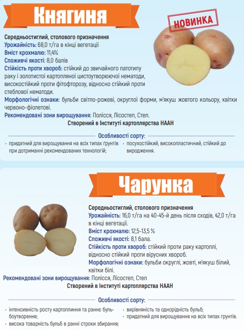 Каталог сортів картоплі