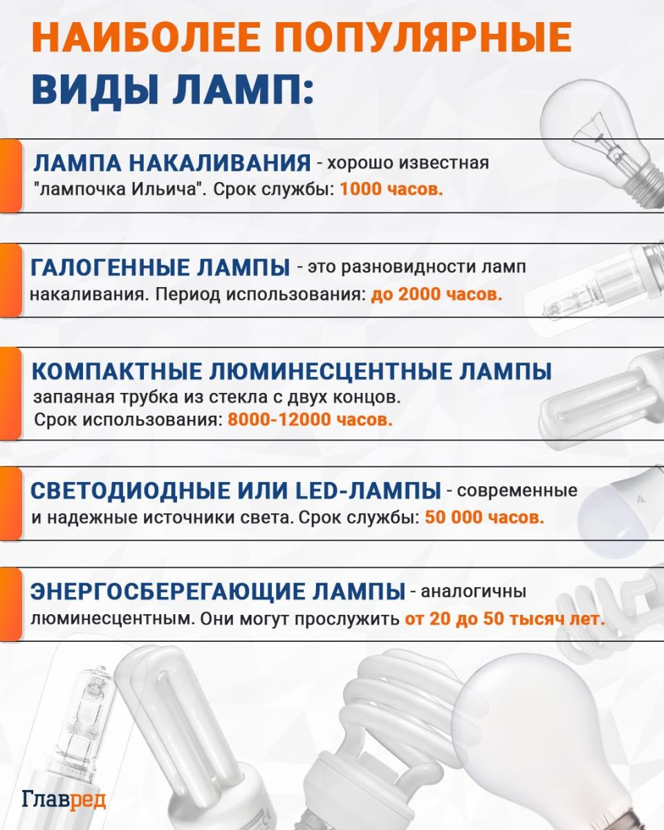 Опасная ртуть внутри: какие лампочки нельзя выбрасывать в мусор Опасная ртуть внутри: какие лампочки нельзя выбрасывать в мусор