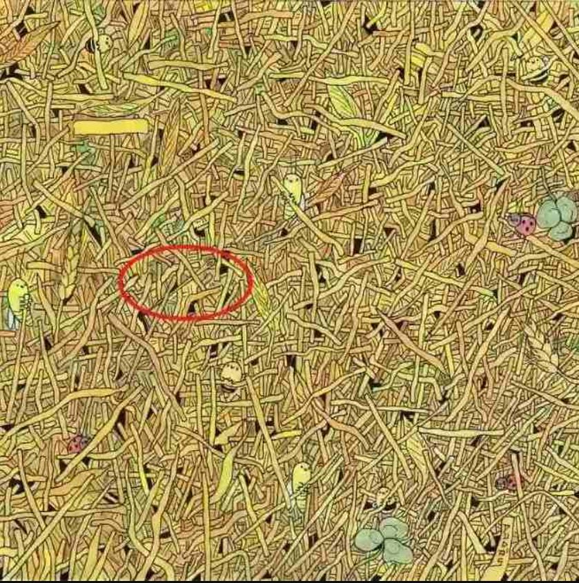 Знайти голку в сіні - розгадка головоломки