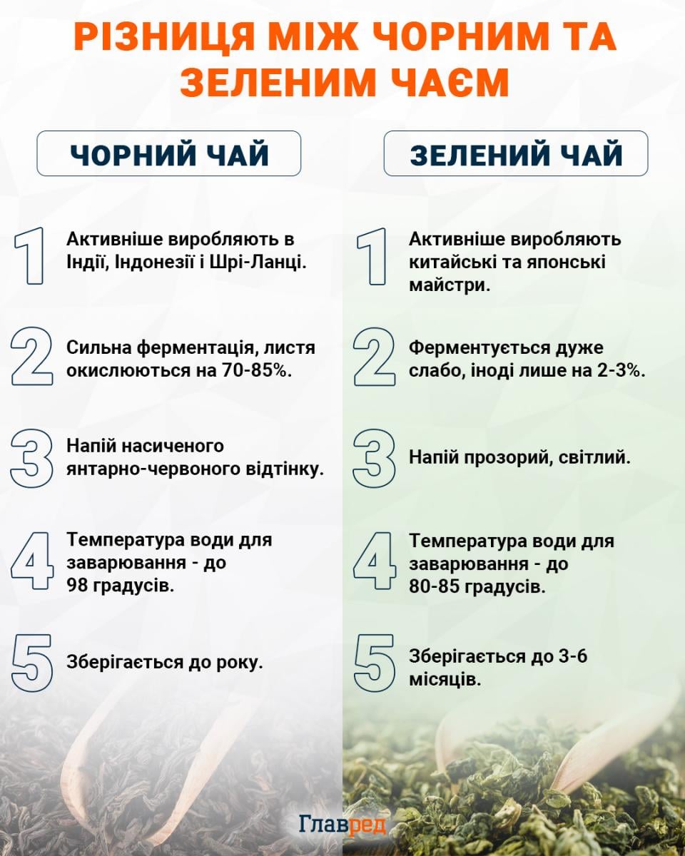 чай, чорний чай, зелений чай, інфографіка чай, чорний чай, зелений чай, інфографіка