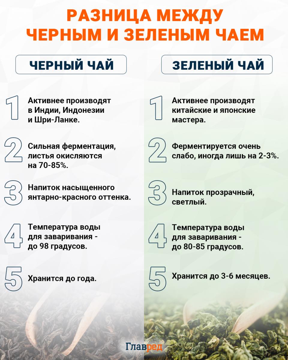 чай, черный чай, зеленый чай инфографика