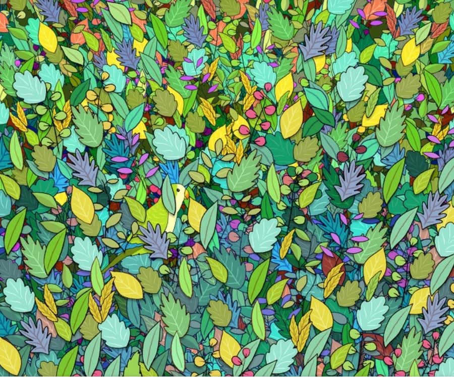 Тест на уважність - знайти папужку