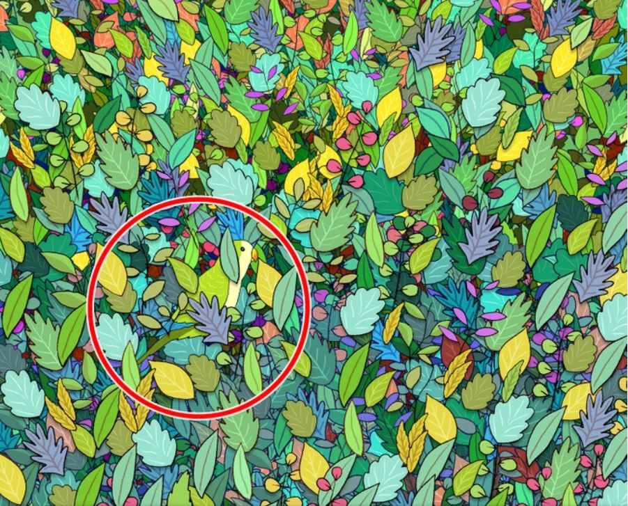 Тест на уважність - розгадка