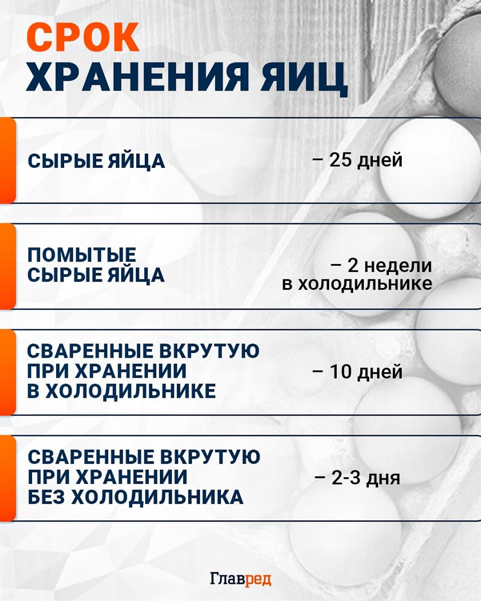 Срок хранения яиц инфографика Срок хранения яиц инфографика