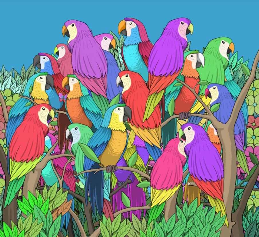 Тест на внимательность - найти бабочку