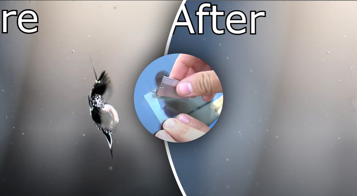 Как убрать трещину на стекле - пошаговая инструкция - Главред