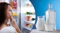 Чому не можна класти молоко на дверцята холодильника: несподівана причина