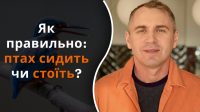 Птах сидить, чи стоїть: Авраменко дав несподівану відповідь