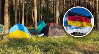 Доведеться заплатити величезний штраф: чому в Німеччині не можна ставити намет у лісі