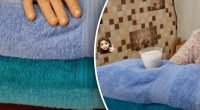 Как вернуть мягкость махровым полотенцам - что добавить при стирке