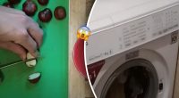 Винахідливі господині кидають каштани в пральну машинку: навіщо так робити