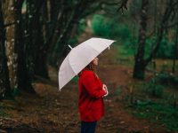 В Україну повертаються дощі: у яких регіонах очікуються опади