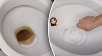 Краще за оцет і соду: як видалити наліт в унітазі 1 натуральним засобом