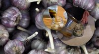 Працює безвідмовно: для чого француженки замочують часник в оцті