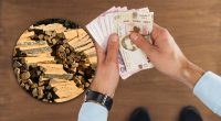 Деякі українці можуть отримати кошти на придбання паливної деревини: деталі