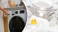 Скрытый отсек стиральной машины удивил людей: никто никогда его не чистил