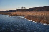 Насувається холоднеча: синоптики оголосили штормове попередження