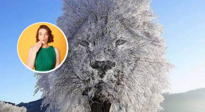 'Закрита' чи 'товариська' людина: що про вас може розповісти оптична ілюзія 'Закрита' чи 'товариська' людина: що про вас може розповісти оптична ілюзія