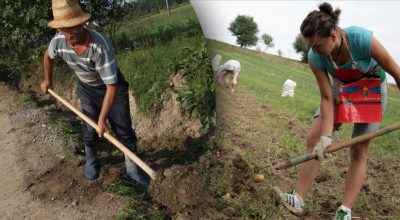 Експерти закликали припинити роботу з ґрунтом після певного періоду: яка причина