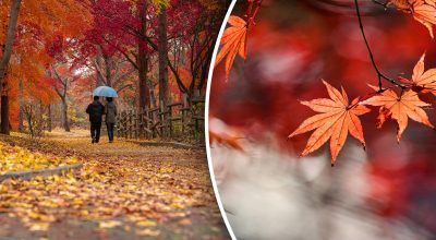 Любовний гороскоп на тиждень Любовний гороскоп на тиждень