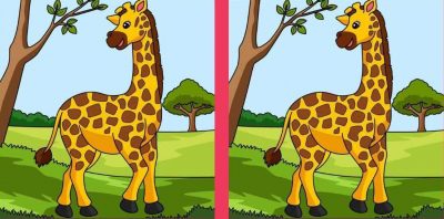 Лише люди з "орлиним" зором знайдуть 3 відмінності за 14 секунд: загадка на уважність