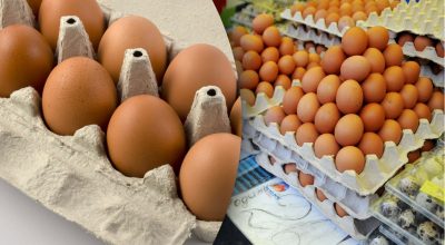 Яйця будуть свіжими протягом 12 місяців: потрібно зробити лише одну дію Яйця будуть свіжими протягом 12 місяців: потрібно зробити лише одну дію