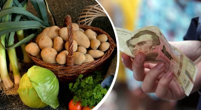 Ціна впала на 15 гривень: в Україні відчутно подешевшав базовий овоч Ціна впала на 15 гривень: в Україні відчутно подешевшав базовий овоч