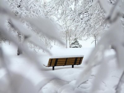 Названо дату сильного похолодання: вдарить мороз і засипатиме все снігом Названо дату сильного похолодання: вдарить мороз і засипатиме все снігом