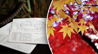 Гороскоп на листопад Гороскоп на листопад