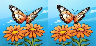 Лише геній знайде 3 відмінності між метеликами за 16 секунд: непроста загадка